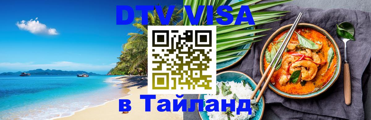 Оформление DTV визы под ключ: стоимость и тарифы, только загранпаспорт - Новошахтинск 